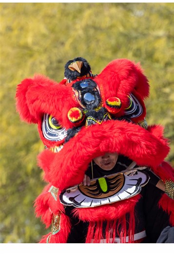 Chandler Multicultural Festival: Celebrate Global Cultures