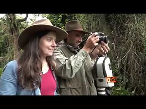 Virunga National Park’s Gorilla Trek