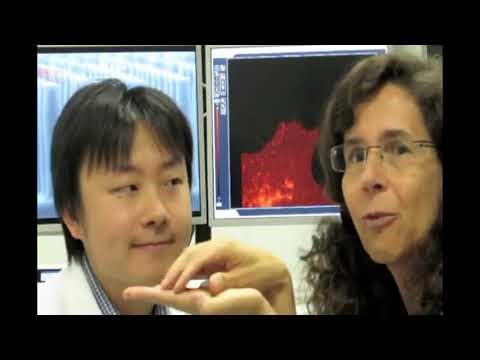 Nano Tera 2012 - LiveSense