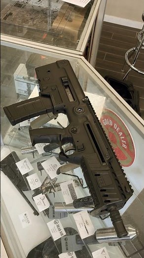 The Hebrew Hammer- IWI Tavor X95 SBR