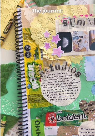 the junk // the journal | #fyp #journal #junkjournal #parati #argentina #aesthetic #journaling