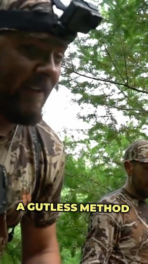 A true classic. If you’re looking to learn how we do the GUTLESS METHOD on an elk check out our story for the link 🔗! We filmed two different butcher videos this season. So keep your eye out if you’re interested in the basics of butchering deer 🦌. #bornandraisedoutdoors #fieldtotable #butcher #elk #meat #hunting #meatcare #elkwoods #classic | Born And Raised Outdoors