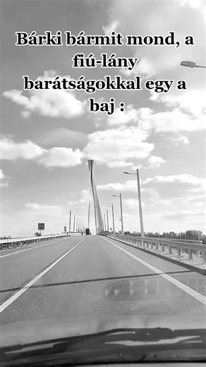 Exploring a Modern Bridge: Design and Functionality