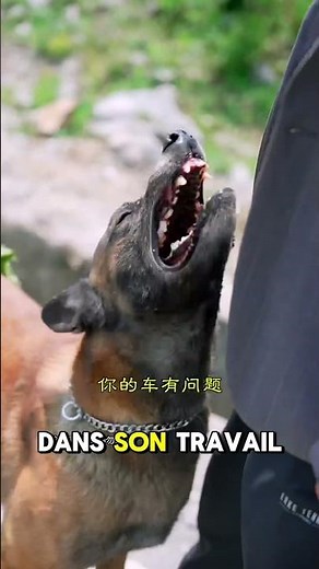 He tries to save a driver but gets insulted 😖! #foryou