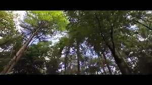 108K views · 1.2K reactions | The World's Largest Obstacle Course. 20 miles. 200 obstacles. | Forest Facility Adventure Centre | Facebook