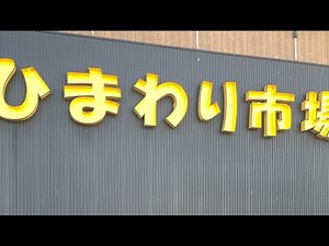 プウくんの晩飯ひまわり市場🌻#晩御飯 #ひまわり市場#山梨グルメ