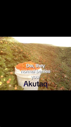 Discover Akutaq: A Traditional Alaskan Dish
