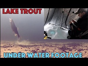 Ice Fishing Lake Trout on Lake Simcoe - Underwater Footage