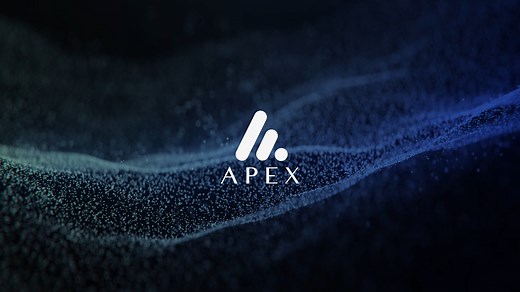 Apex Group overview 2025