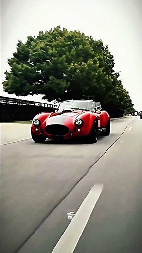 Shelby’s Most Terrifying Creation Evershelby cobra, shelby super snake,