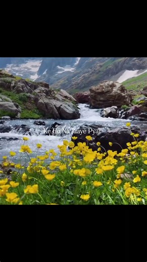 Tut Jaega Dil |Saiyaara|Heart touching song|Female version Barbad Song|#ytshorts#short#love#asetheti