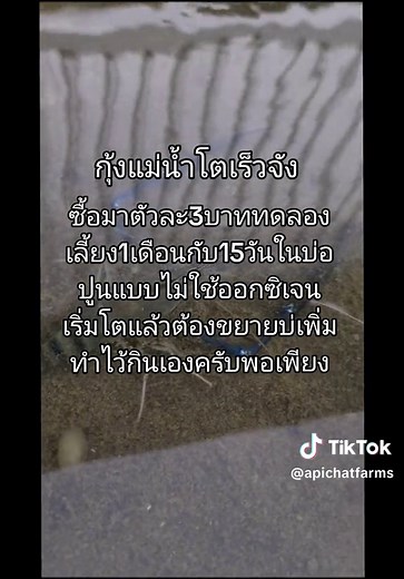 อภิชาติฟาร์ม บน TikTok
