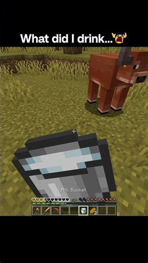 Minecraft #minecraftshorts