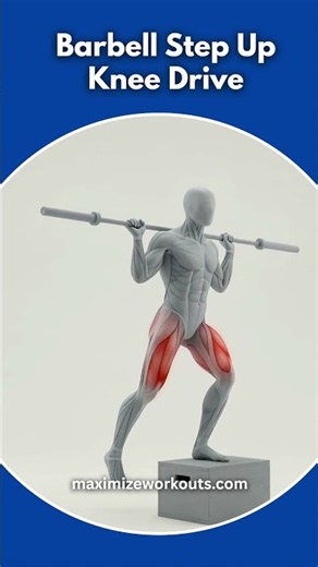 How To Do Barbell Step Up Knee Drive Exercise For Explosive Legs Workout 💪