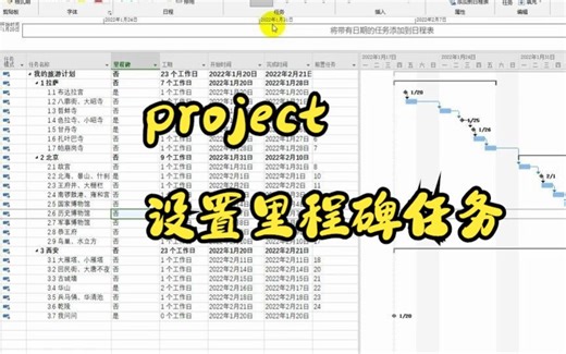 【project技巧】教你如何在project中设置里程碑任务
