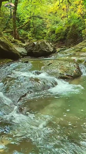 Still Awake? Rain & River Sounds for Deep Sleep 🌧️ | Night Forest (4K) #deepsleep #relaxing