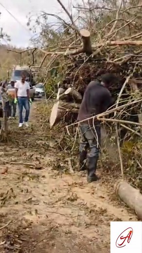21K views · 900 reactions | Angels foundation helping restore livelihood, and give people hope on the rebuilding process. Thank you @tvjnews for creating the awareness. The EMERGENCY ️ DONATION Lines are OPEN  WHATSAPP OR CALL (876)288-8047 ➡️ Cashapp $2006MD ➡️ Zelle: angelsproduction@gmail.com ➡️ PayPal: angelsproduction@gmail.com ALL BANK & WIRE TRANSFERS ARE ALSO ACCEPTED  SEE GOFUNDME LINK BELOW  https://gofund.me/0fc9d1bc8 | D'AnGeL | Facebook