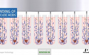 基于磁珠的 DNA/RNA 分离Magnetic bead based DNA_RNA isolation with chemagen Technology