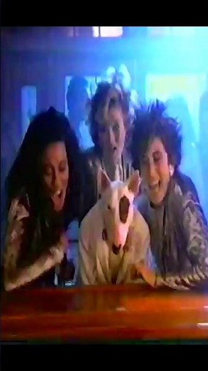 Spuds MacKenzie, Bud Light's Original Party Animal Hits the Clubs | Super Bowl XXI (1987)