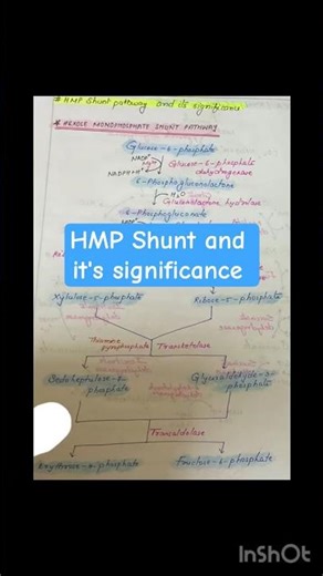 HMP Shunt and it’s significance 2 page note
