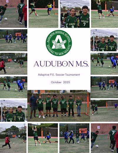 Soccer Game - Adaptive PE