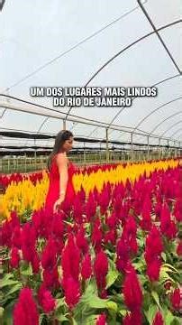 One of the most beautiful places in Rio de Janeiro.