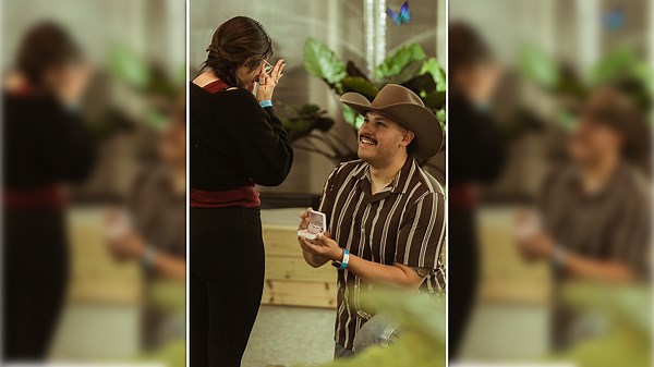 Love takes flight: Couple gets engaged at the butterfly exhibit at the Science Spectrum