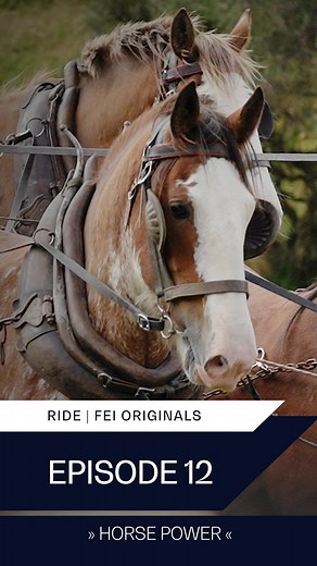 16K views · 85 reactions | This month RIDE presented by @longines,...