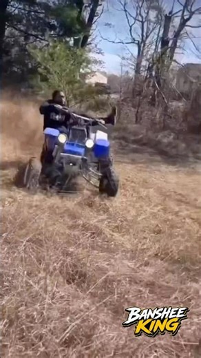 Wide Open Banshee Full Send Through Everything! #Banshee #2Stroke #FullSend