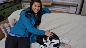 Anna, Nina, Pia und die Haustiere: Katze