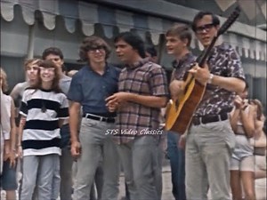 Younger Girl 📀 The Critters {Stereo} 1966