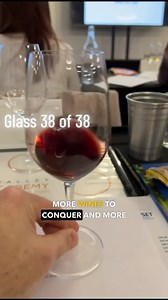 WSET 2 In-Person Experience in Napa!  Wine, education, and fun...