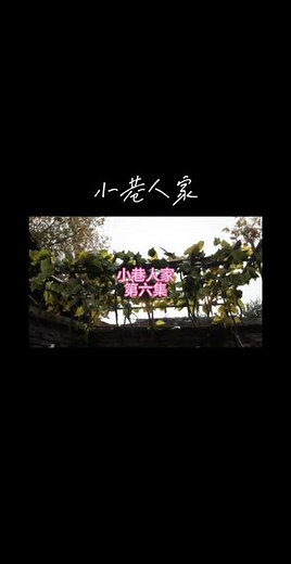 《小巷人家》｜第六集:黄玲和宋莹在院里种起了蛇瓜 #好剧推荐 #因为一个片段看了整部剧 #我在抖音追剧 #老剧回看