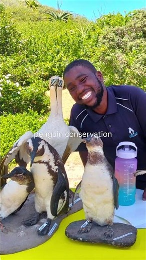 You chose wildlife conservation 💚