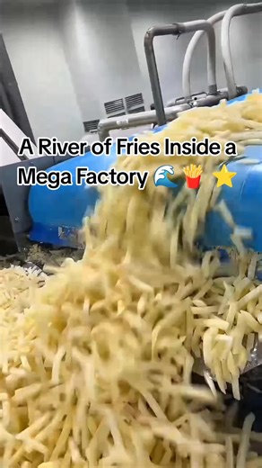Frozen French Fries Production Line Explained