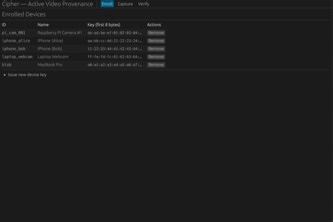 VIE (Video Interface Encoding) Cipher