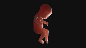 Baby 3D Model HD Background Video | Video MOV Libreng Download - Pikbest