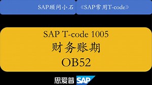 SAP常用事务码1005-OB52