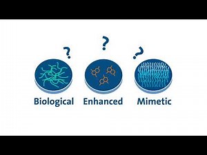 Cell Culture Surfaces Explained