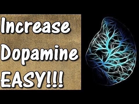 How To Increase Dopamine Levels In The Brain (NATURAL WAYS) -PART 1- Raise Your Dopamine Naturally