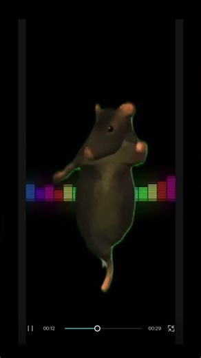 #funnymeme #Itsrainingtacos #meme The taco meme