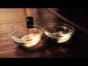 The Habit of Encouragement, Object Lesson