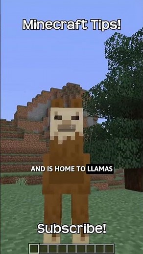 What Is The Command To Find A Windswept Forest In Minecraft?!