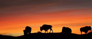 Year in Review: 2019 Highlights from the Uber Engineering Blog