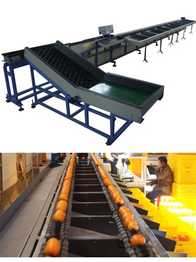 Industrial Oranges Weight Sorting Grading Machine GWE-21000 Automatic Citrus Sorter Grader Equipment Automatic fruit electronic weight grading machine suitable for grading apples, pears, persimmons, onion, mango, oranges, lemon, potato, grapefruit and other fruits and vegetables, consists of 3 main parts: 1. Automatic feeding part: automatic feeding machine delivery the fruit to the conveyor belt, fruit in a row are automatically conveyed to the weighing pans. 2. Automatic weighing part: fruit i