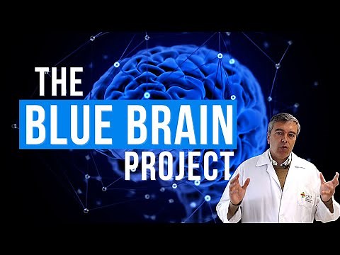 🔵 The Blue Brain Project