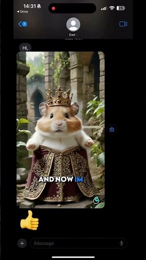 MY DAD “SPUN” MY HAMSTER INTO A VIRTUAL FRUIT TORNADO 🍓🐹💨