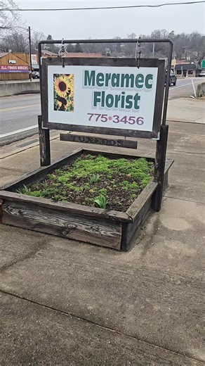 In the little town of Steelville Mo is a flower shop called Meramec Florist. Sandi has the most gorgeous decor and flowers she's made with love. Definitely come say hi if your in our area.. #steelville #steelvillemissouri #flowershop #flowers #missouritok