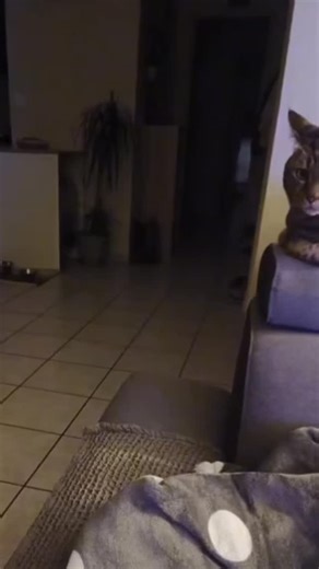 O co tu chodzi? 😇 | Artur Zuch Kałużny