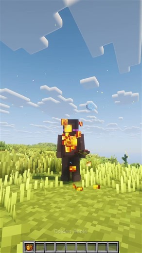 Minecraft Needs More Golden Foods!
